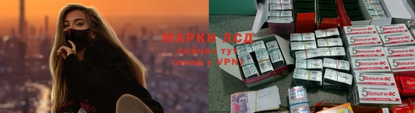 дмт Алзамай