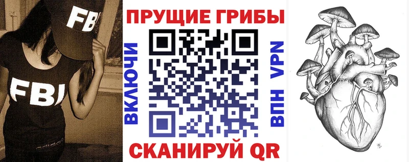 Псилоцибиновые грибы ЛСД  площадка официальный сайт  Новоалтайск 