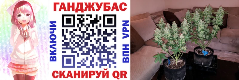 Канабис марихуана  наркота  Новоалтайск 